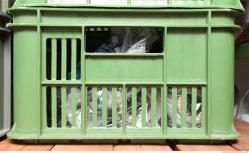 Photo of Mixed Textures